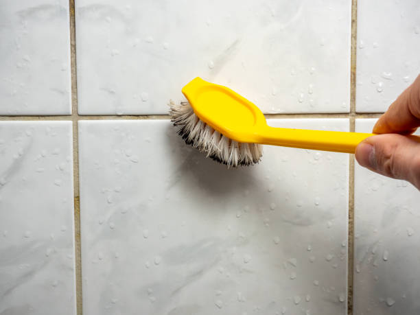 Best Certified Mold Removal  in Wanamingo, MN