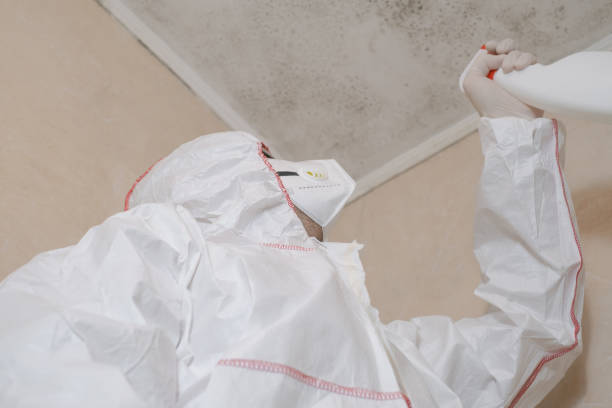 Best Toxic Mold Removal  in Wanamingo, MN